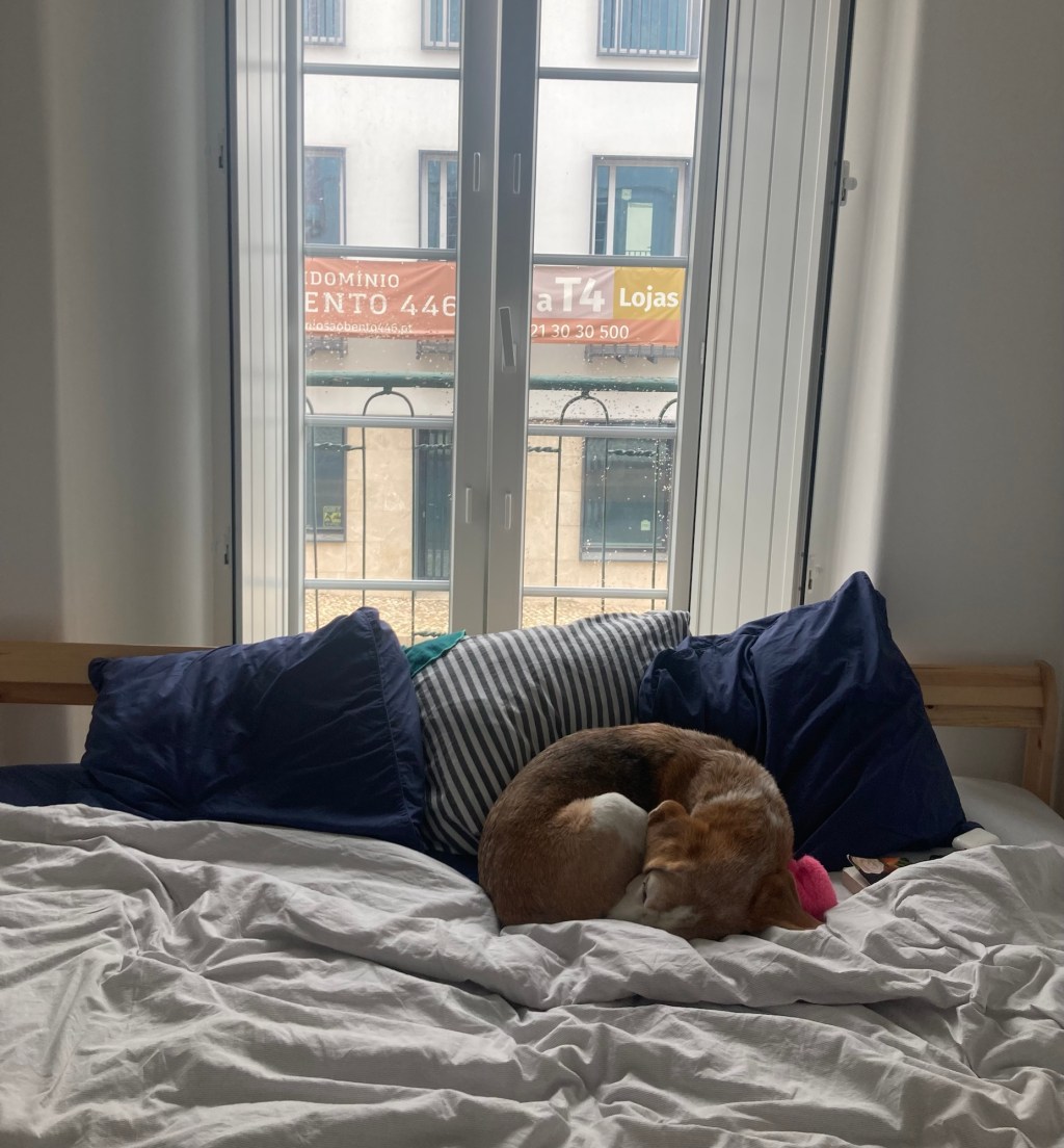 Travel Hack: House&nbsp;Sitting